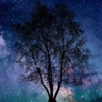 Домашний планетарий и астропланетарий images287.jpg