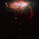 Проектор звездного неба Homestar Pro 2 от Segatoys unsplash_783.jpg